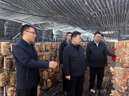 高永平调研漳县巩固拓展脱贫攻坚成果同乡村振兴有效衔接工作情况